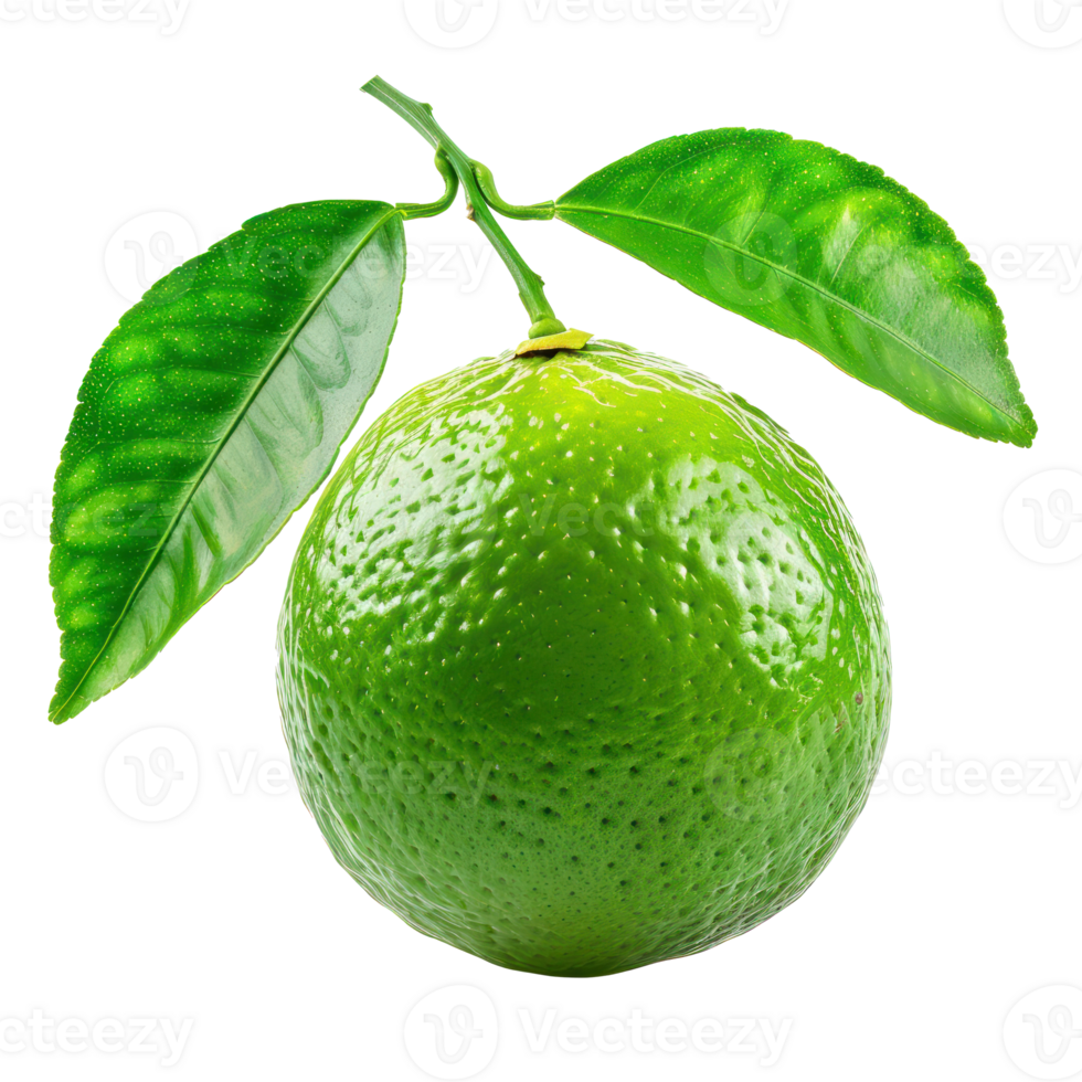 Fresh Lime with green leaves, clipping path isolate on transparency background png