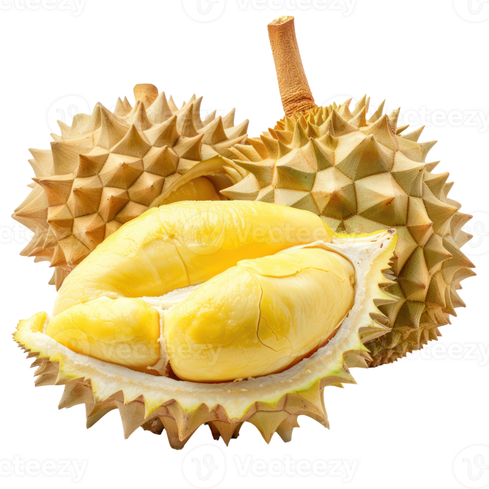 Rich yellow durian flesh isolate on transparency background png