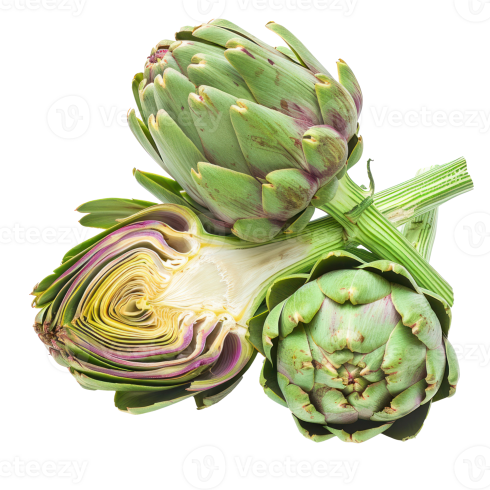 whole and half artichoke isolate on transparency background png