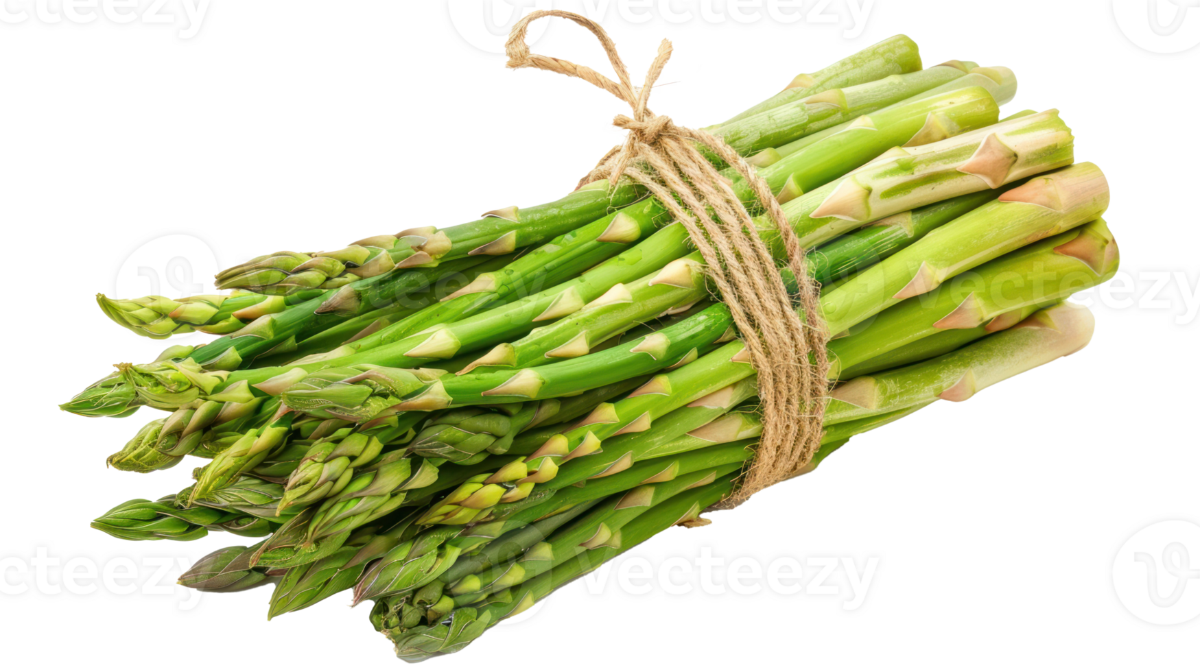Bunch Of Green Asparagus isolate on transparency background png