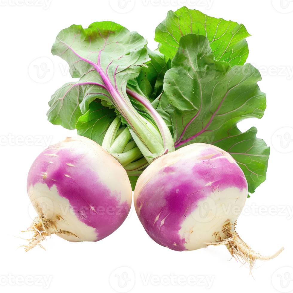 Turnips, clipping path isolate on transparency background png