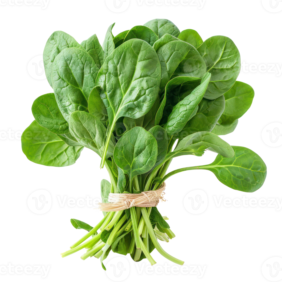 Bunch of Spinach isolate on transparency background png