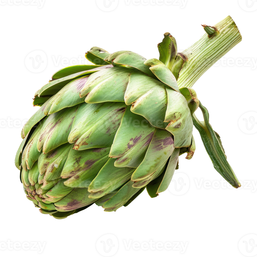 Artichoke portion isolate on transparency background png