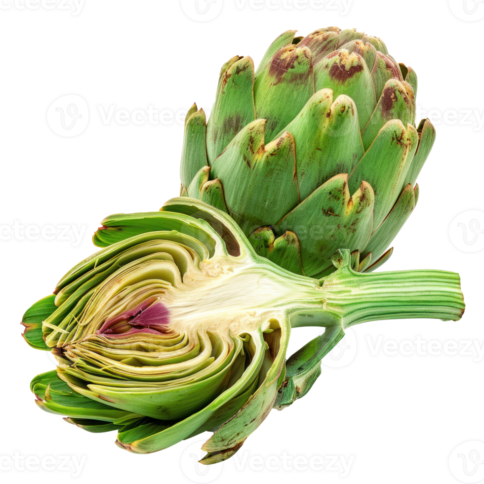 whole and half artichoke isolate on transparency background png
