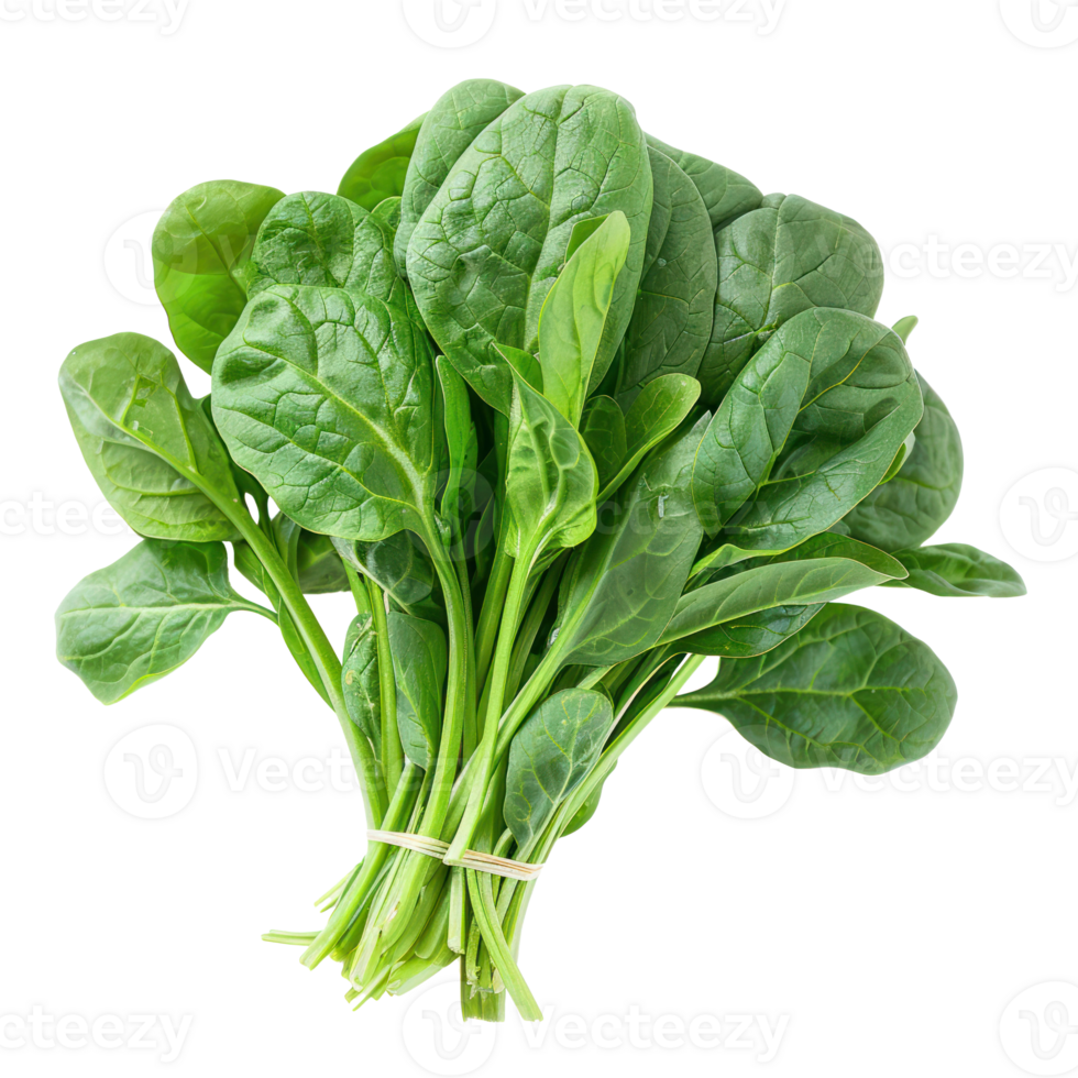 Spinach, clipping path isolate on transparency background png