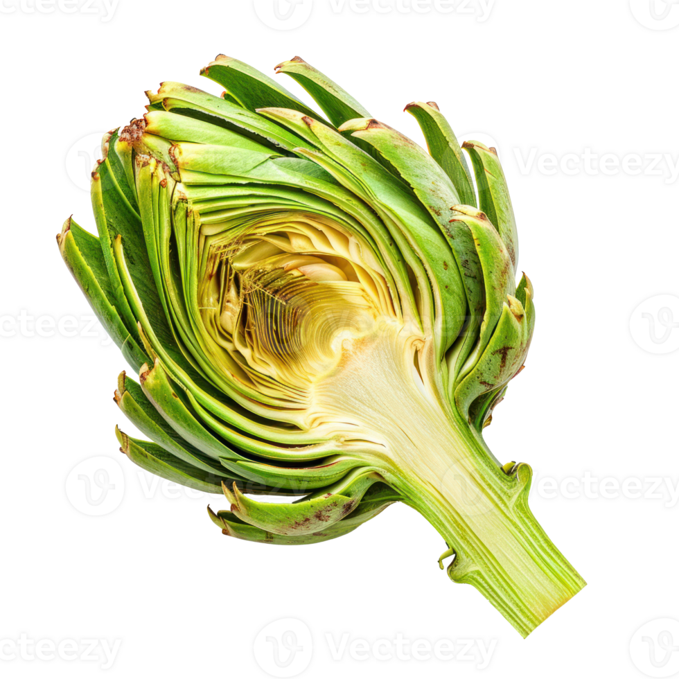 Artichoke portion isolate on transparency background png