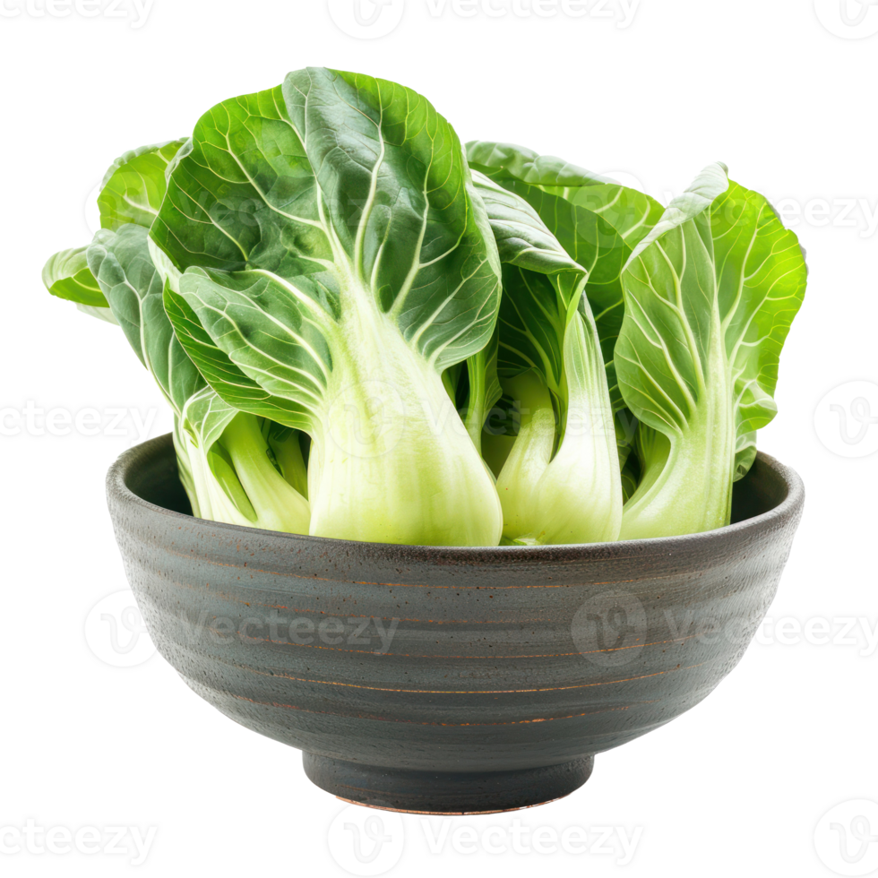 Bok Choy in a bowl front view isolate on transparency background png