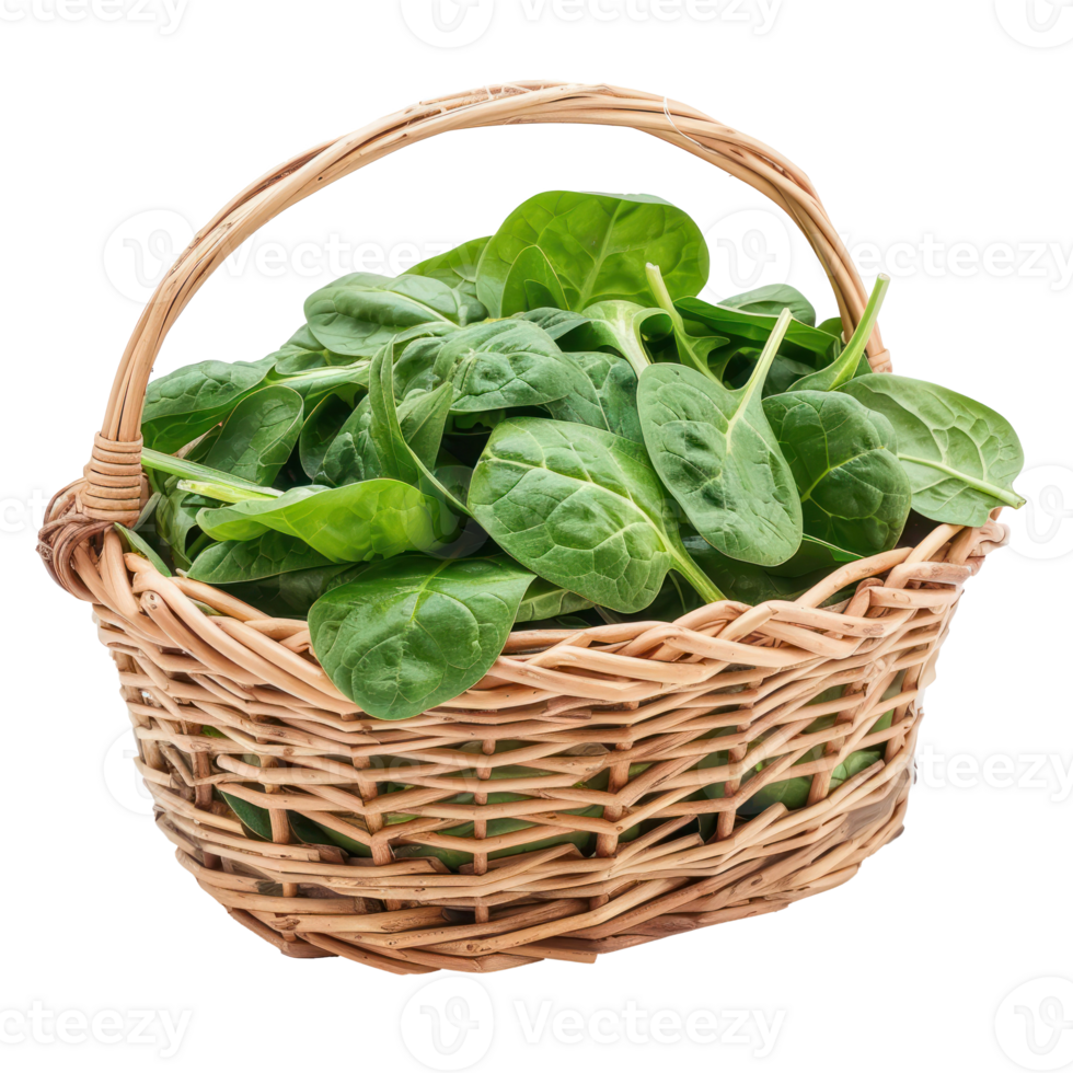 Spinach in basket isolate on transparency background png