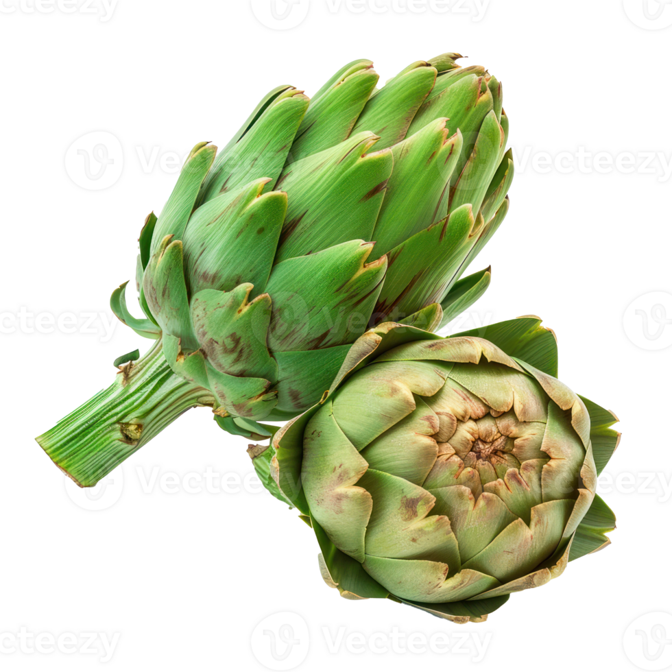 whole and half artichoke front view isolate on transparency background png