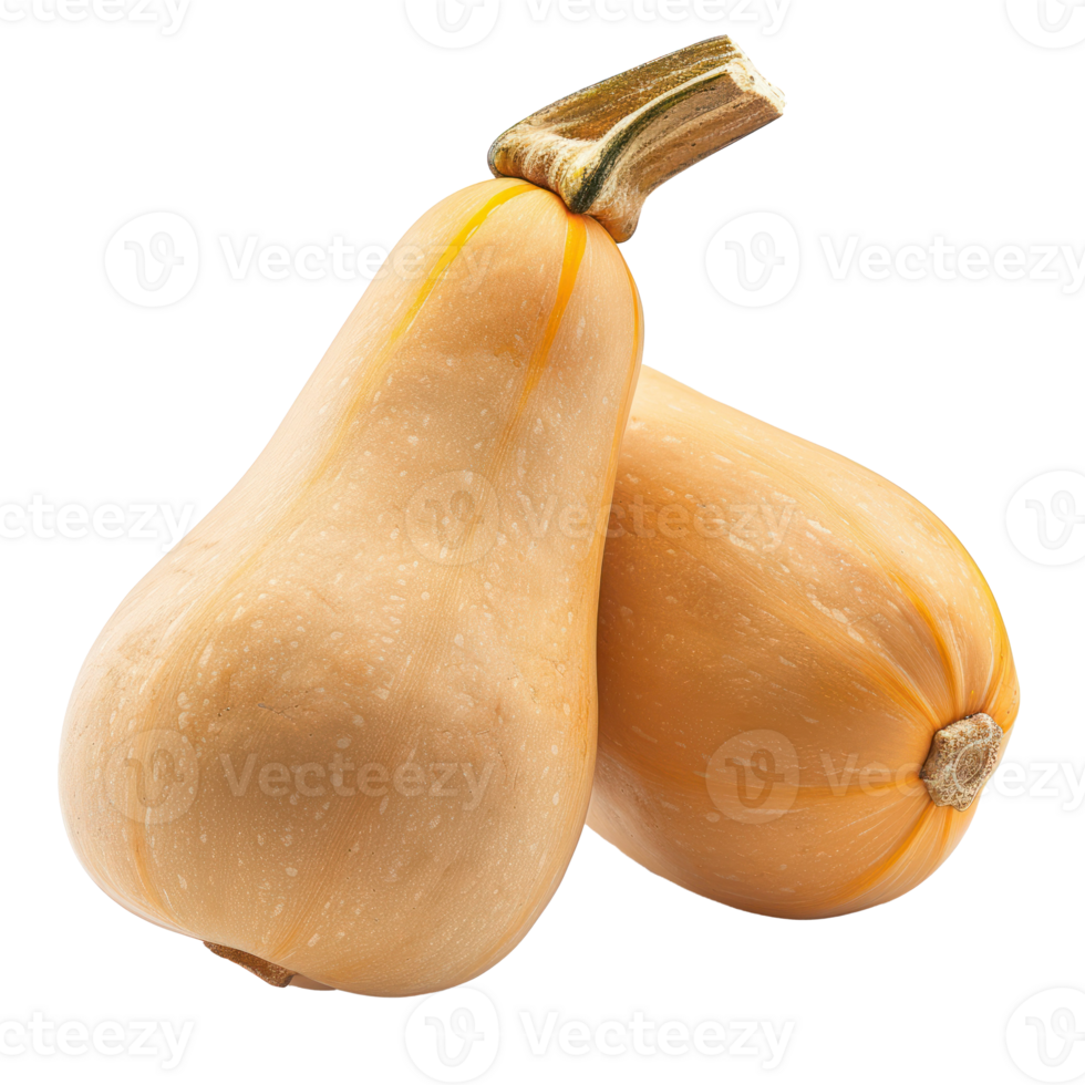 Butternut Squash, clipping path isolate on transparency background png