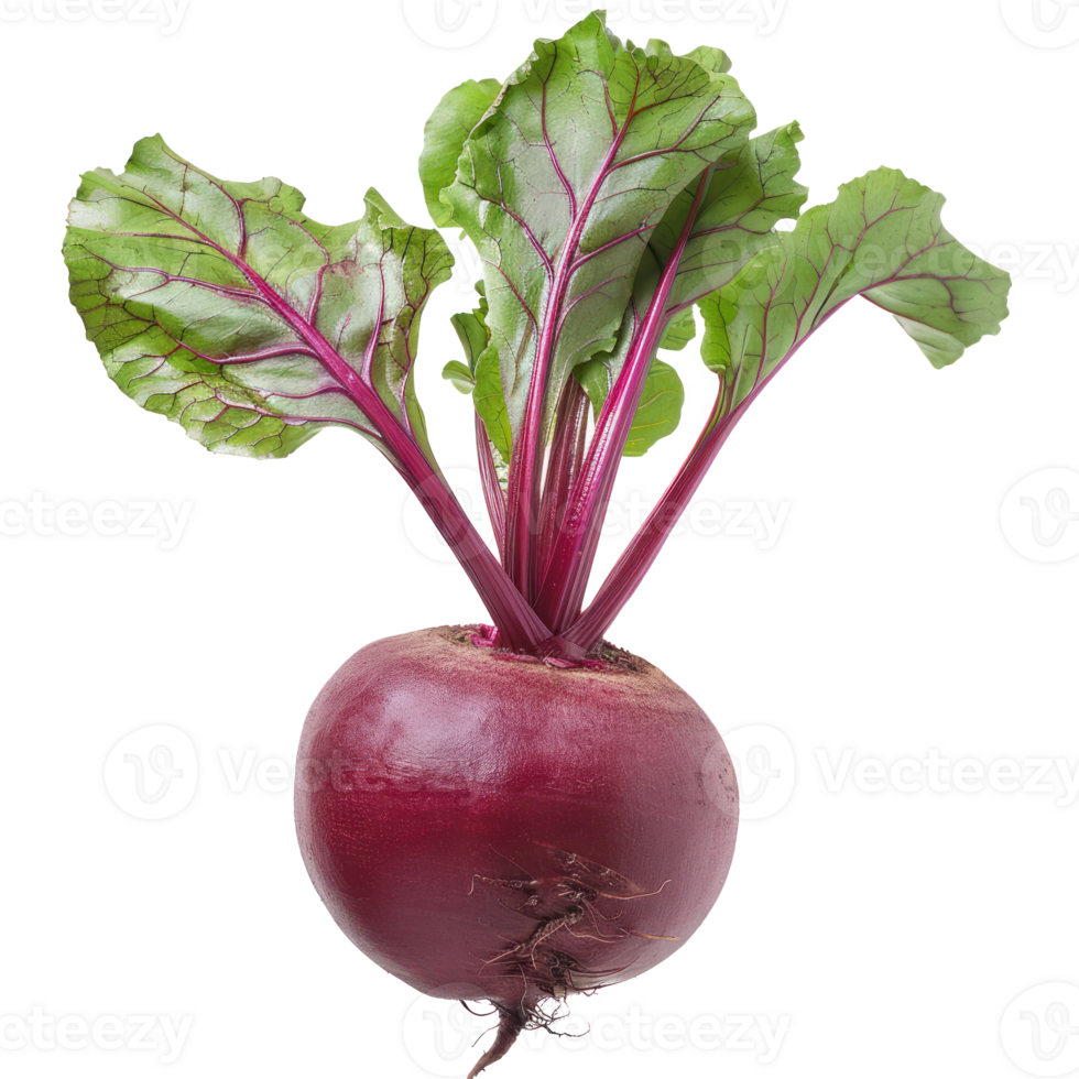 Beet, clipping path isolate on transparency background png