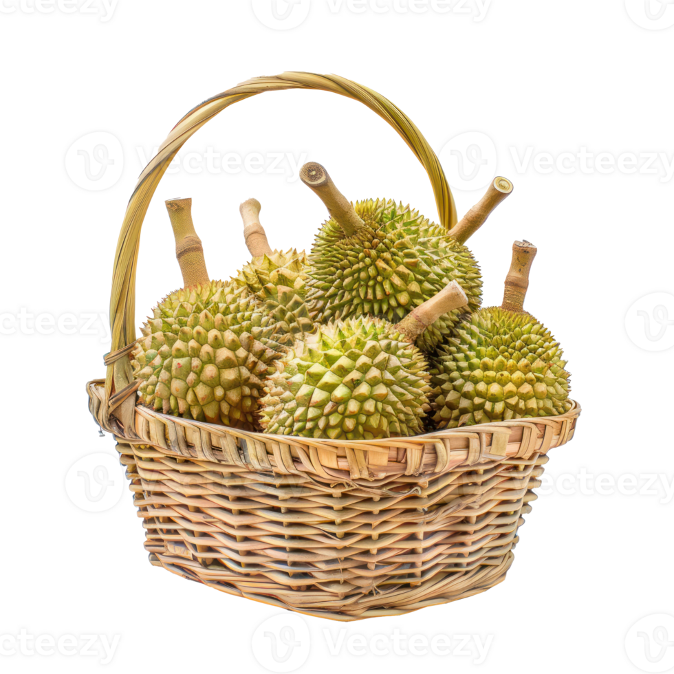 durian fruit in a basket isolate on transparency background png
