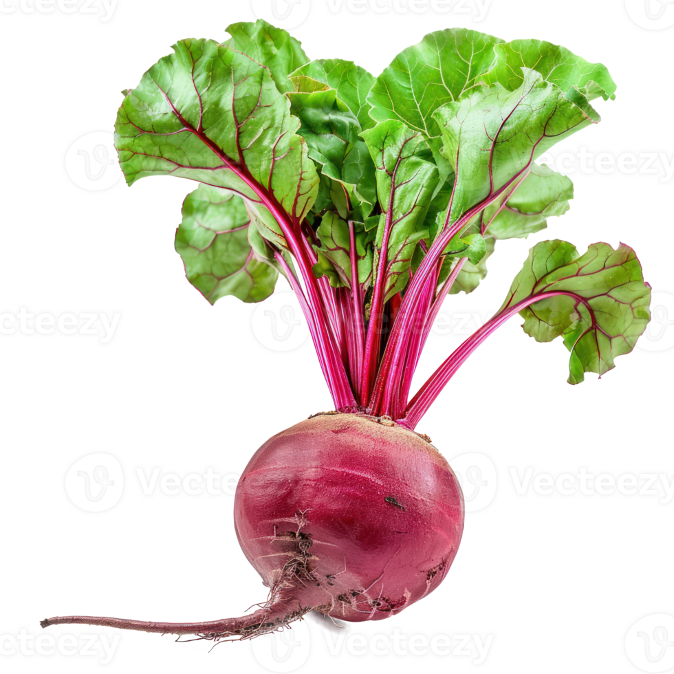 Red beet root with leaves isolate on transparency background png
