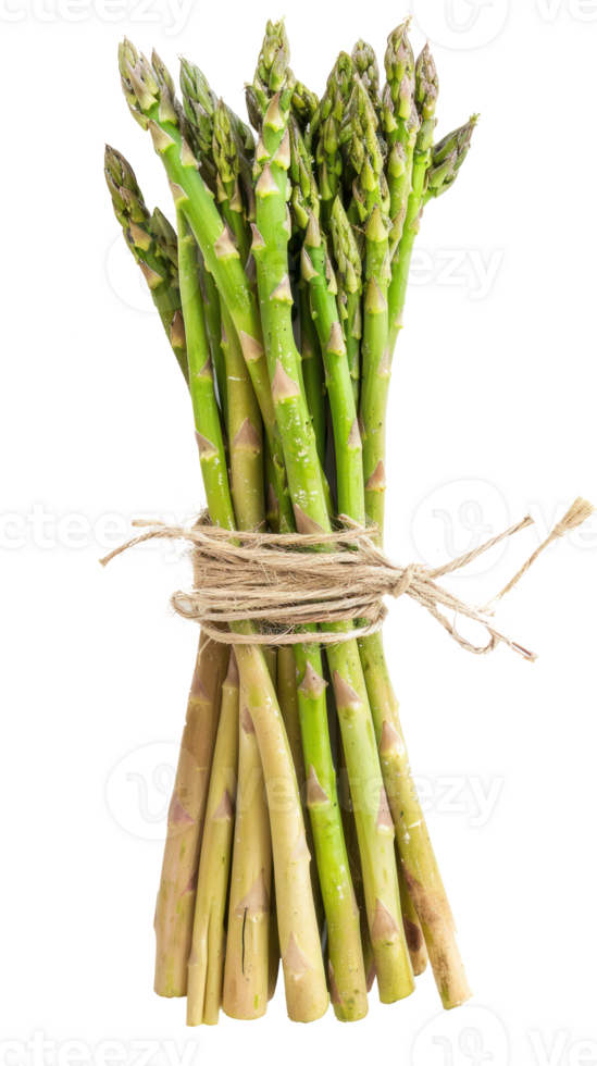 Bundle of asparagus isolate on transparency background png