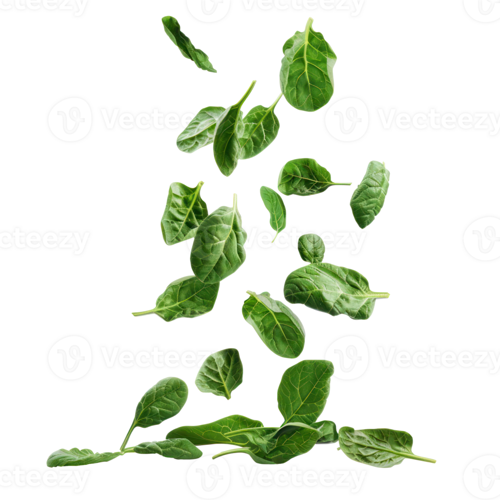 Falling Spinach isolate on transparency background png