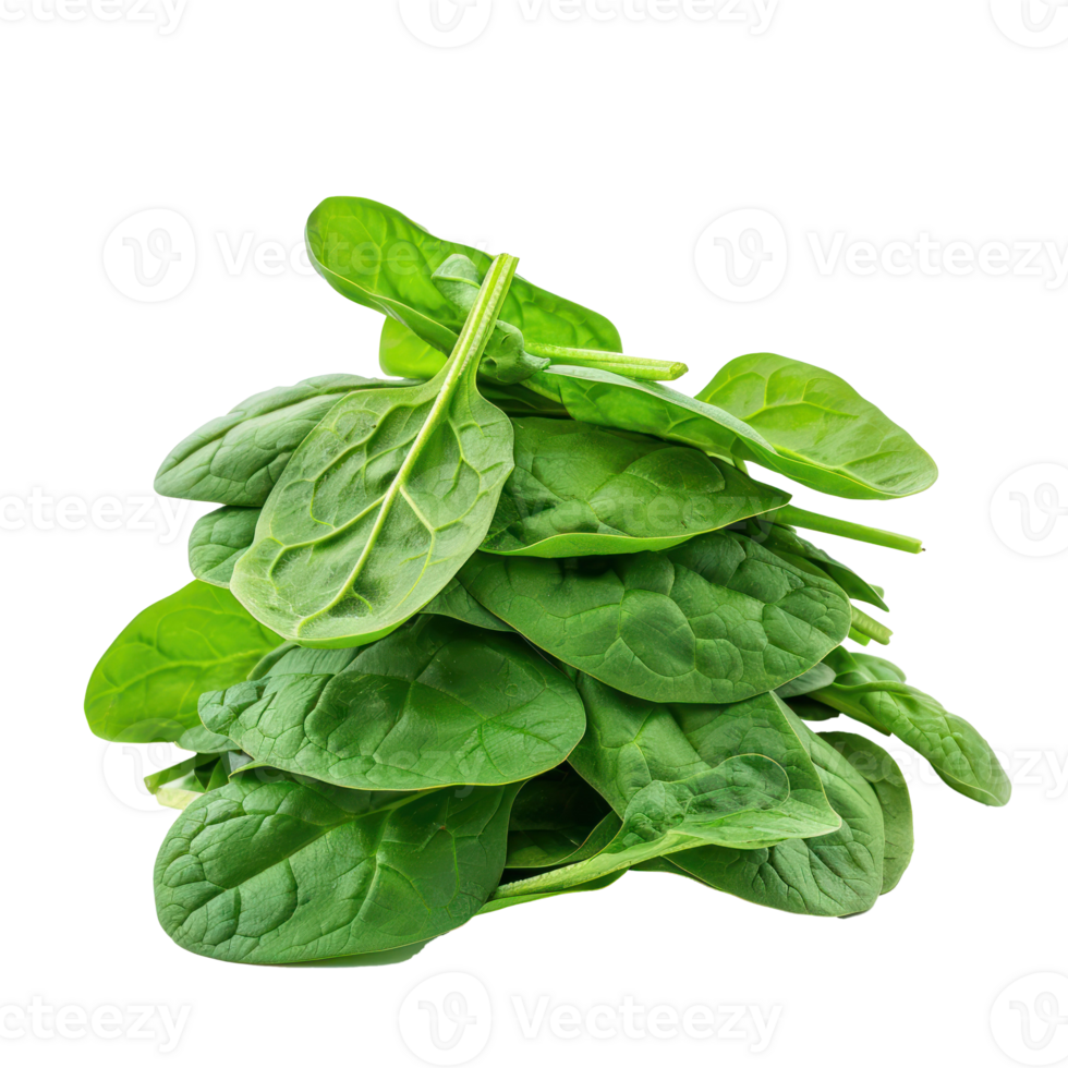 Pile of young spinach leaves isolate on transparency background png
