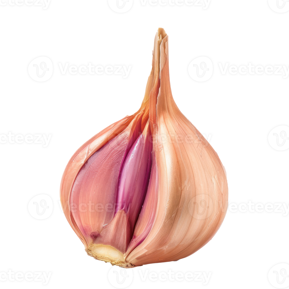 Piece of Shallots isolate on transparency background png
