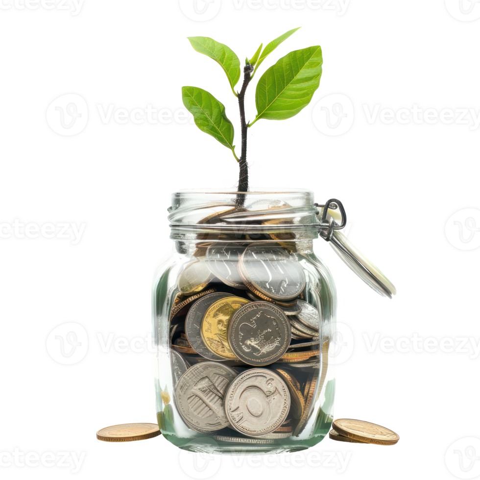 Plant growing from jar full coins, saving and invesment concept side view isolate on transparency background png
