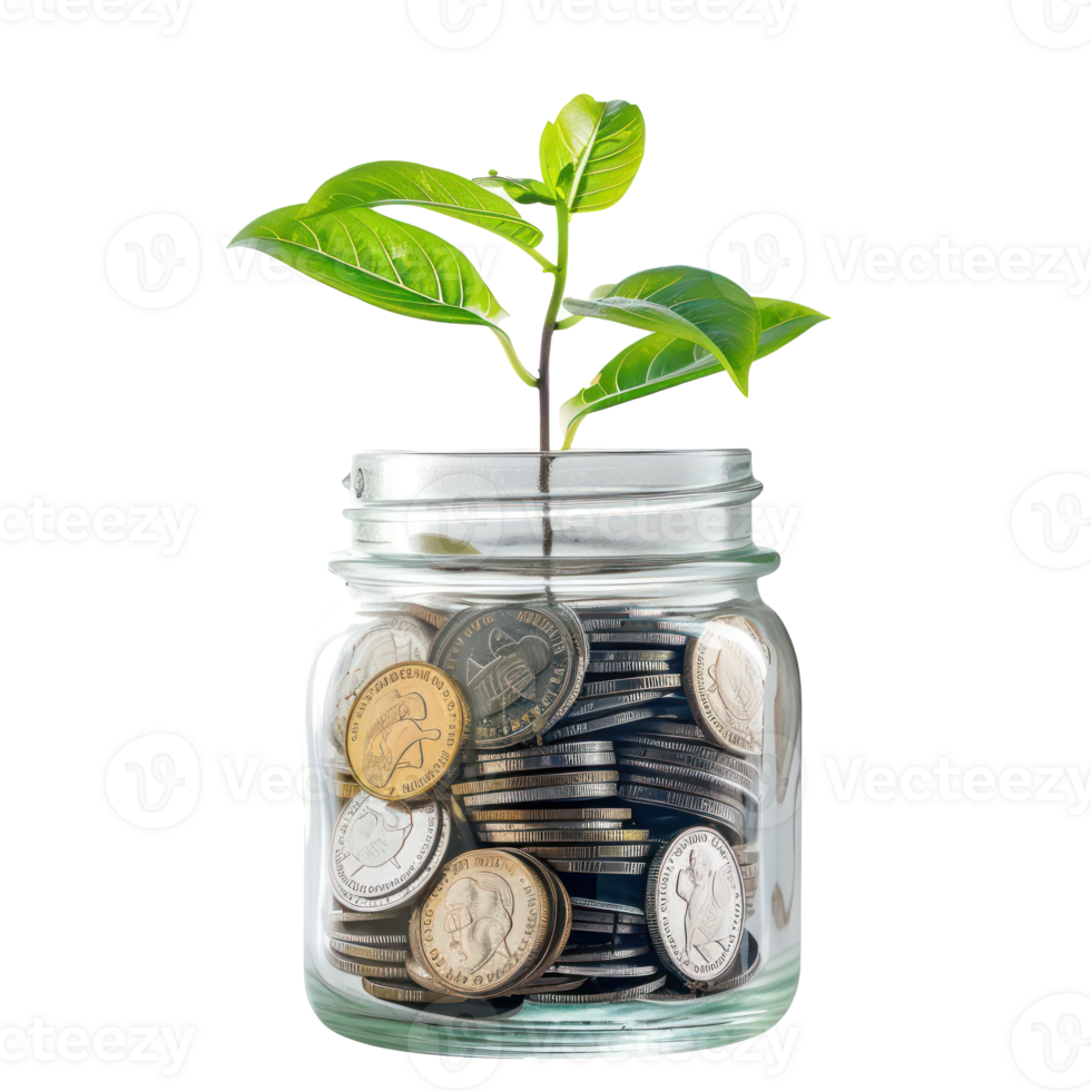 Plant growing from jar full coins, saving and invesment concept front view isolate on transparency background png