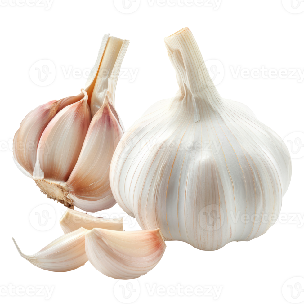 whole and half Garlic isolate on transparency background png