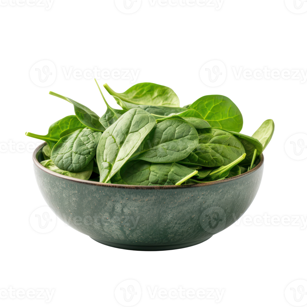 Spinach in a bowl front view isolate on transparency background png