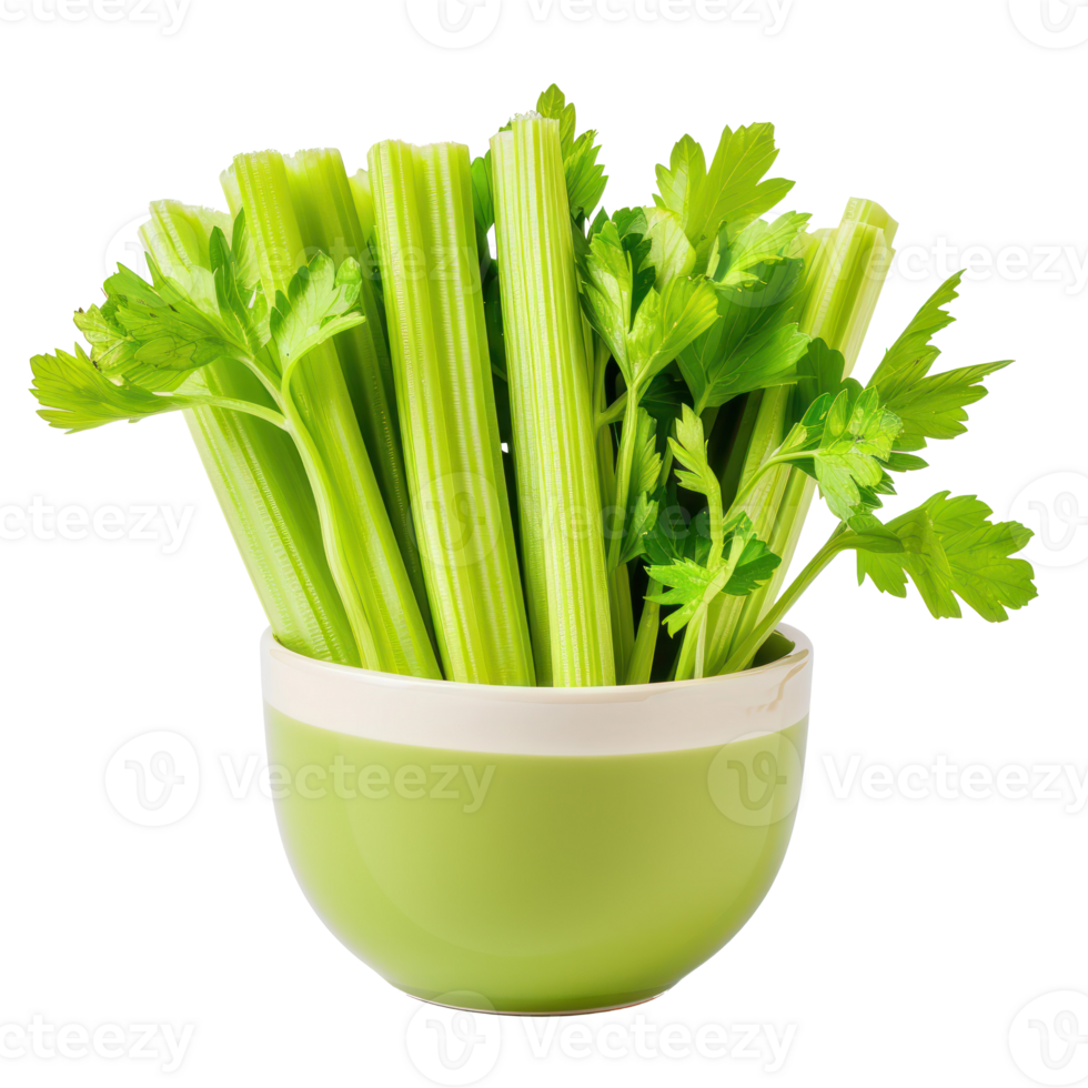 Celery in a bowl front view isolate on transparency background png