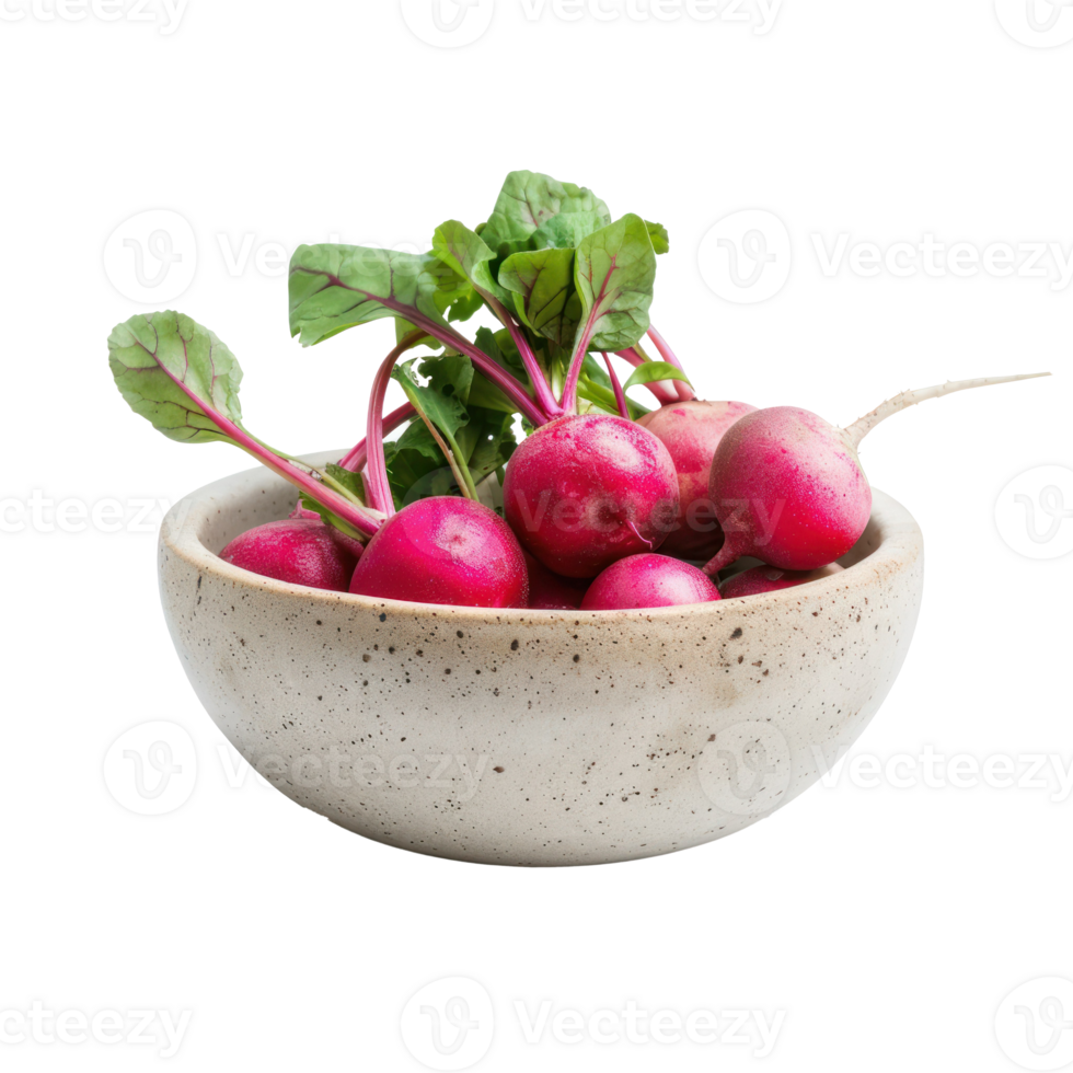 Radish in a bowl front view isolate on transparency background png