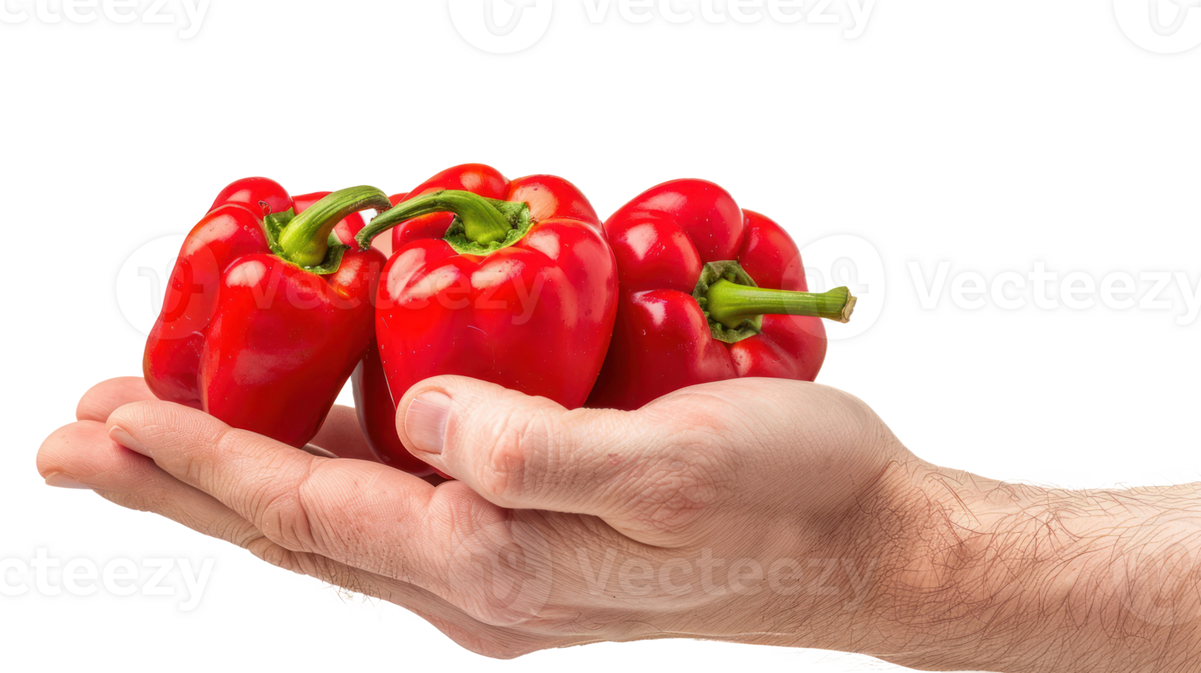 Hand holding Sweet peppers isolate on transparency background png