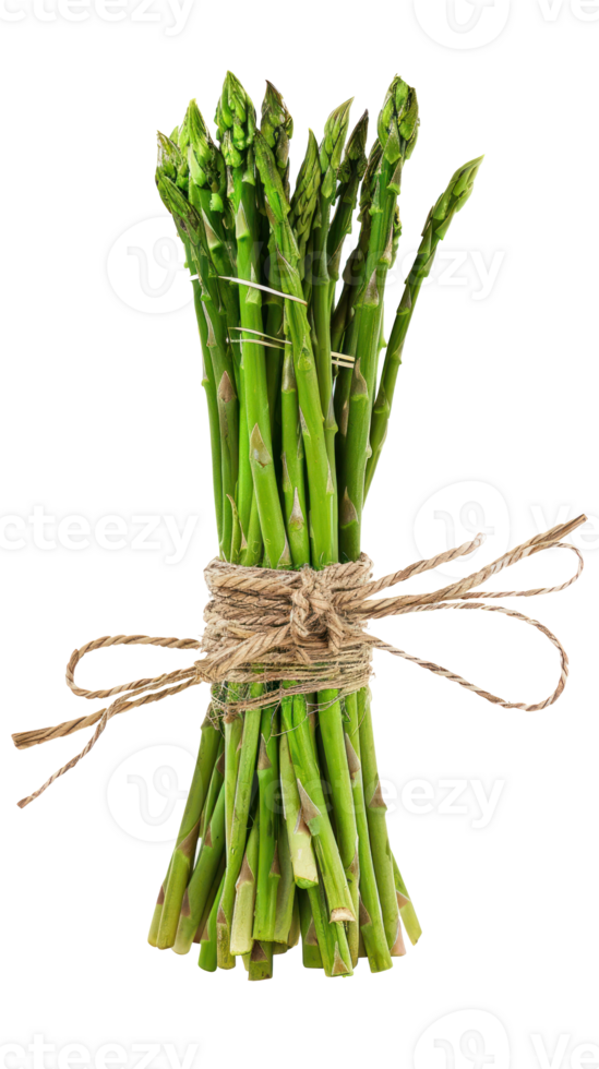 Bunch Of Green Asparagus isolate on transparency background png