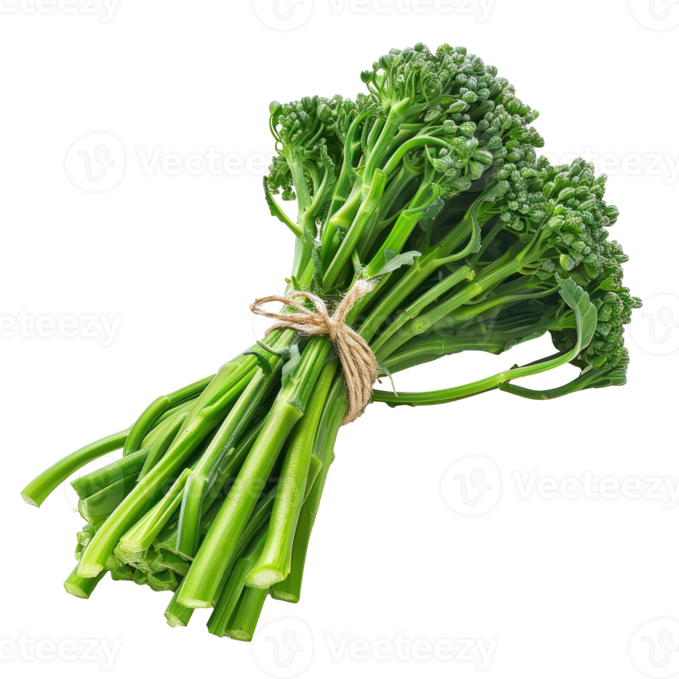 Bundle of Broccolini isolate on transparency background png