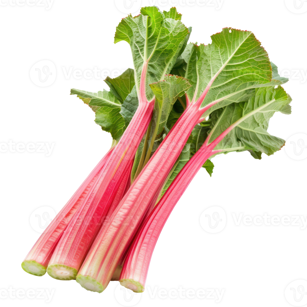 Rhubarb, clipping path isolate on transparency background png