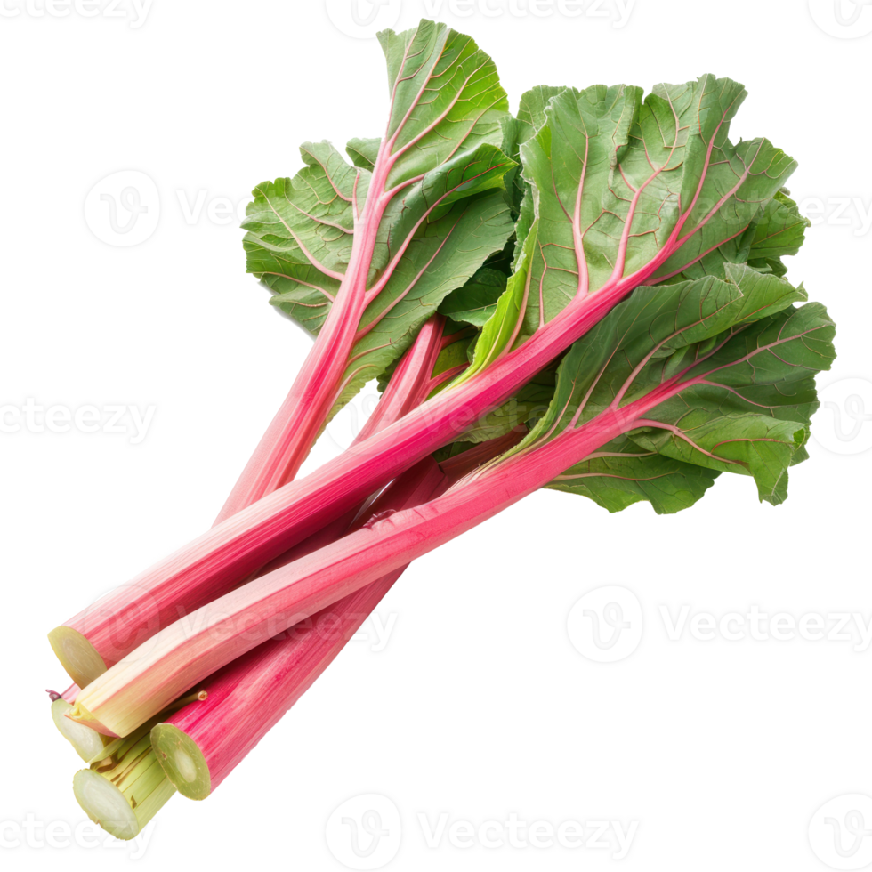 Rhubarb, clipping path isolate on transparency background png