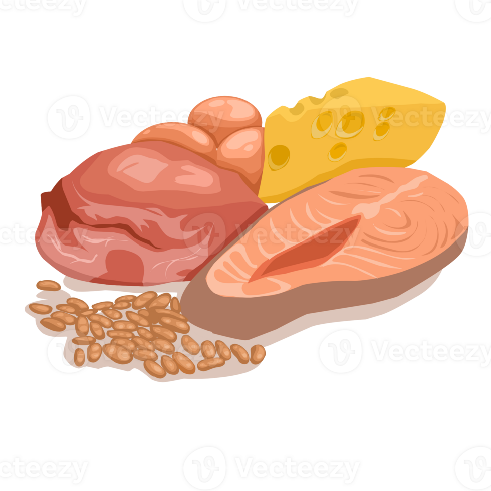 An illustration of food items png