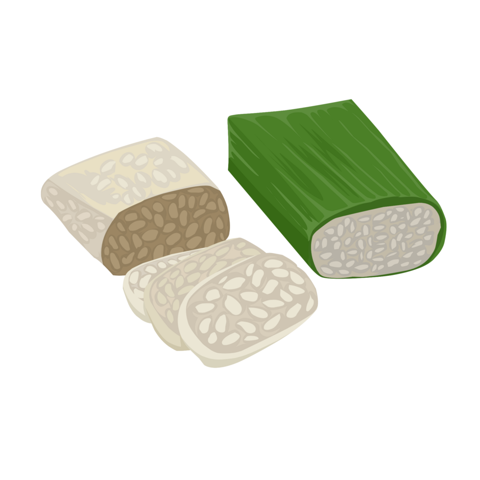A piece of rice and a piece of bread png