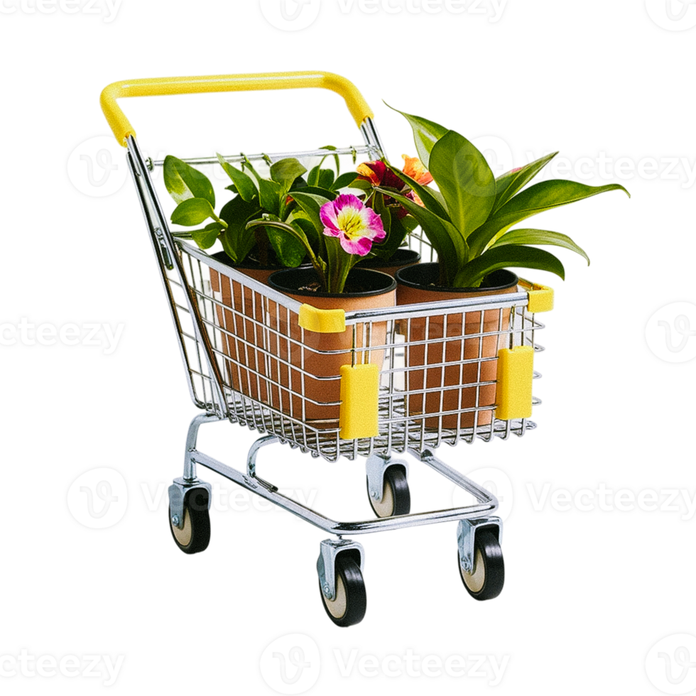 Illustration of a Realistic Shopping Cart in Isolated View with Transparent Background png