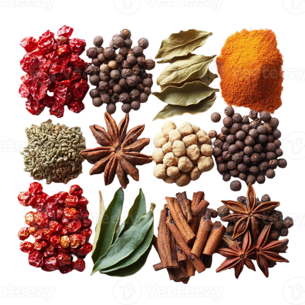 Various spices and herbs are arranged in a circle png