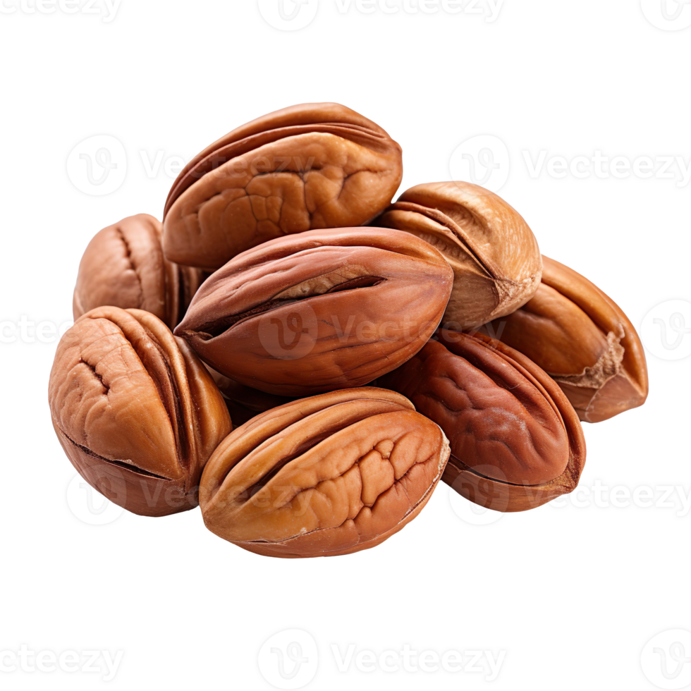 Pecan nuts isolated on transparent background png