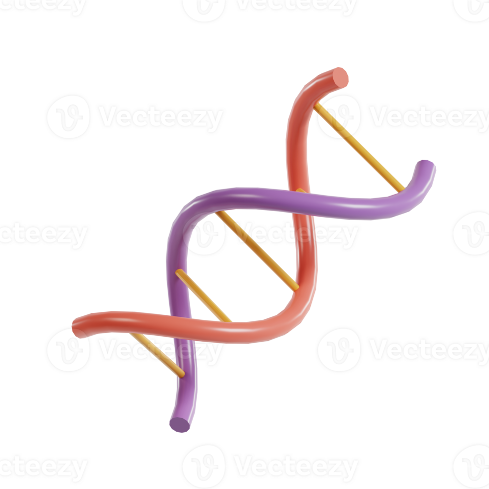 A stylized representation of a DNA double helix, illustrating genetic structure and function. png