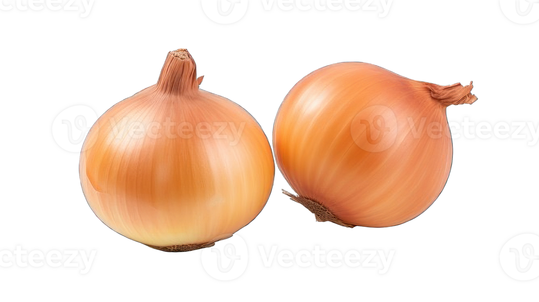 Collection of . Onion, isolated on a transparency background. png