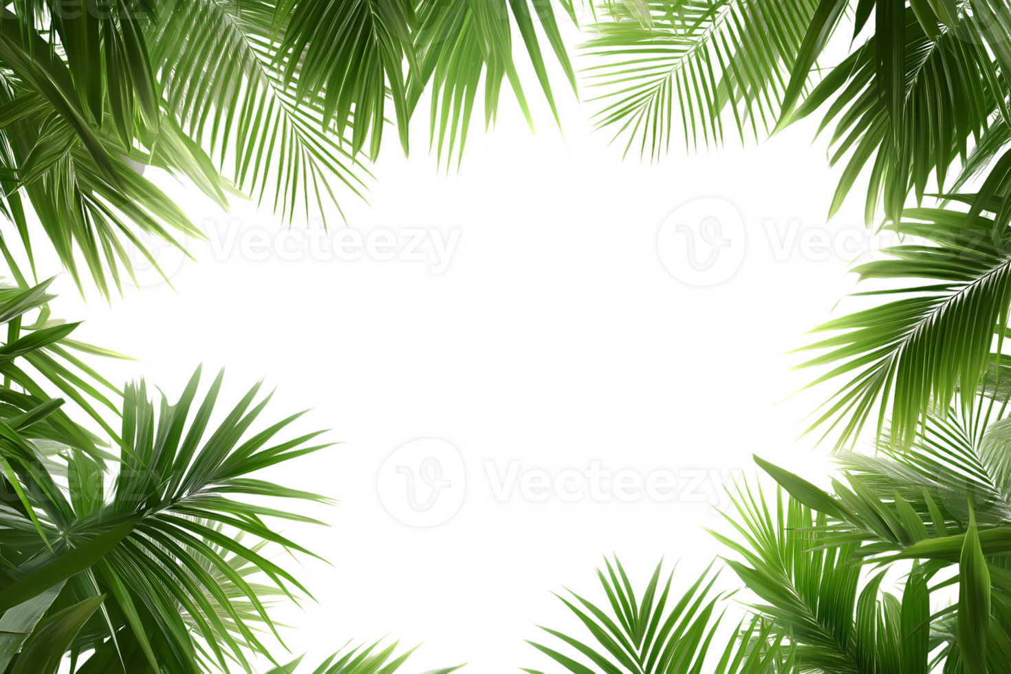 Palm tree frame isolated on transparent background png