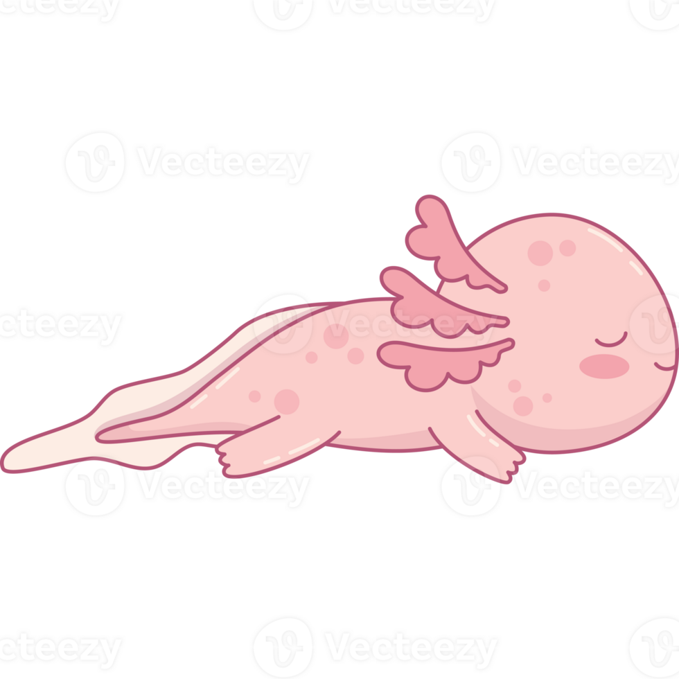 Cute sleeping Axolotl png