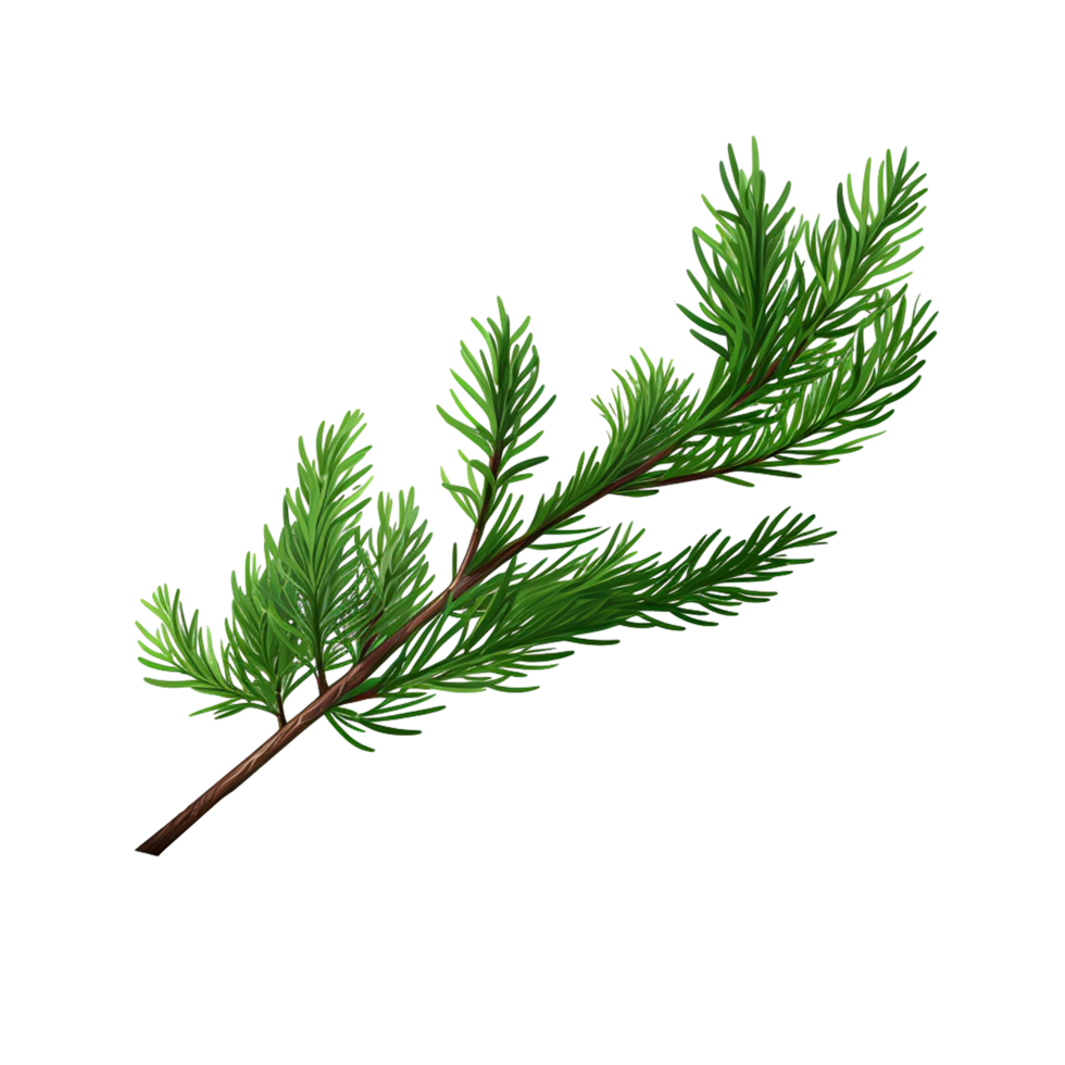 Fresh Pine Twig with Vibrant Green Needles png