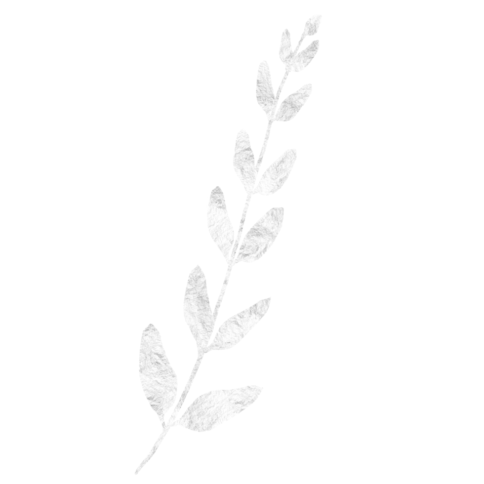 Shimmery Silver Branch with Leaves png