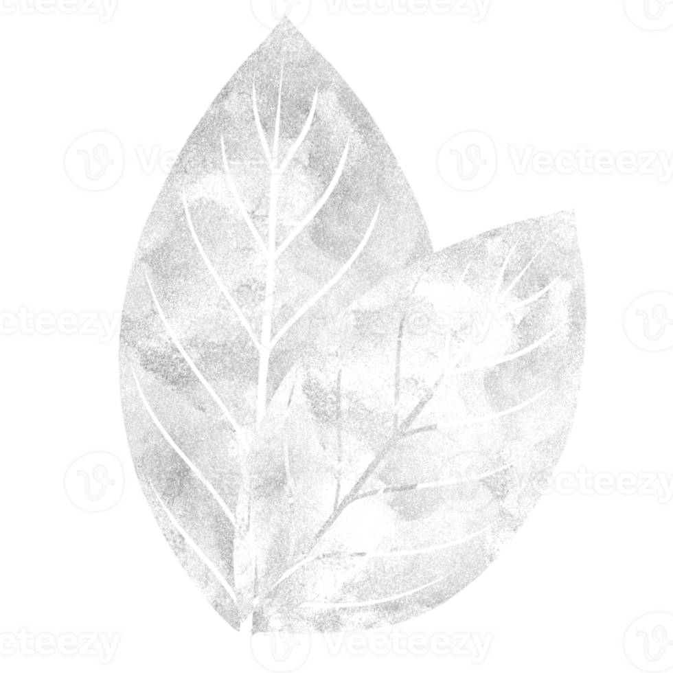 Two shimmery silver and white leaves png