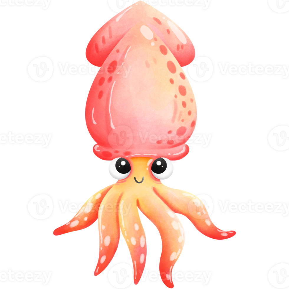 Cute red squid png