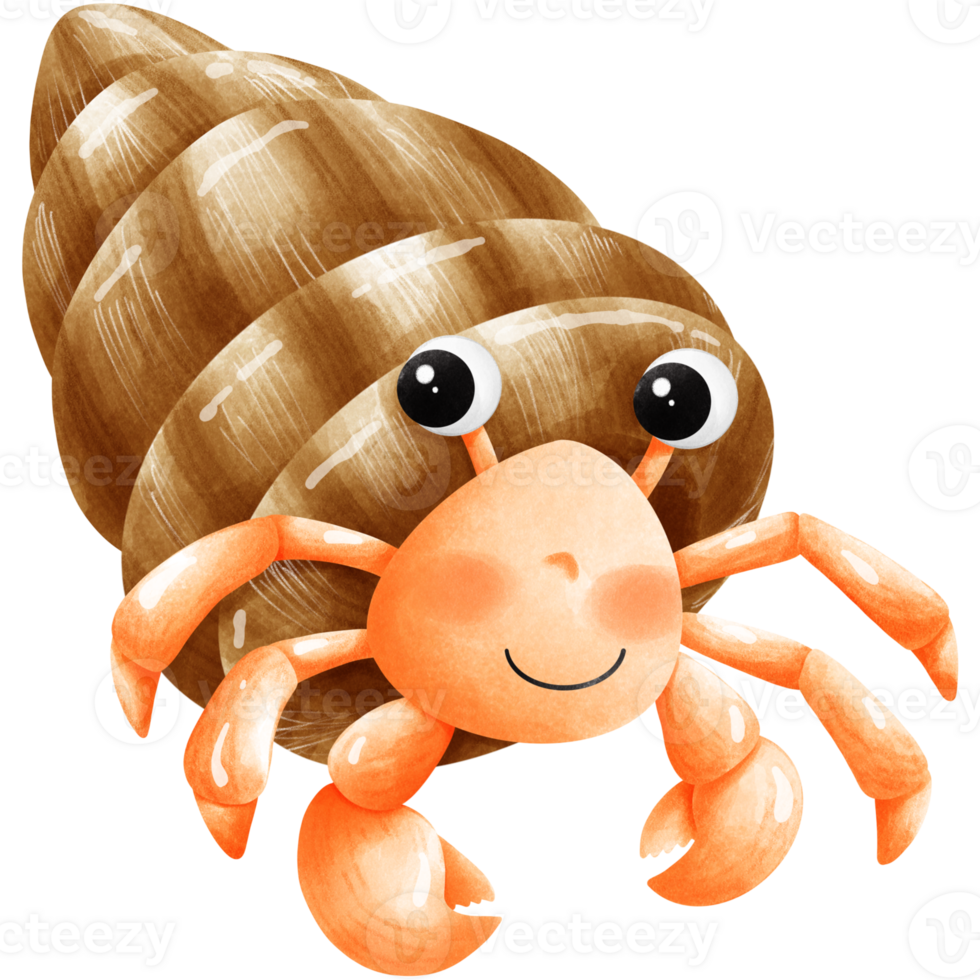 Colorful creatures of the ocean png