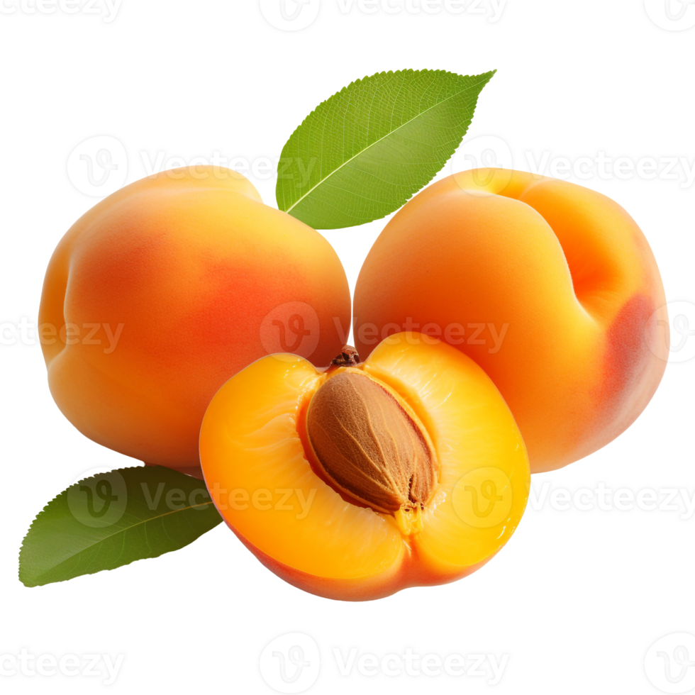 Freshly Picked Apricots with Leaves png