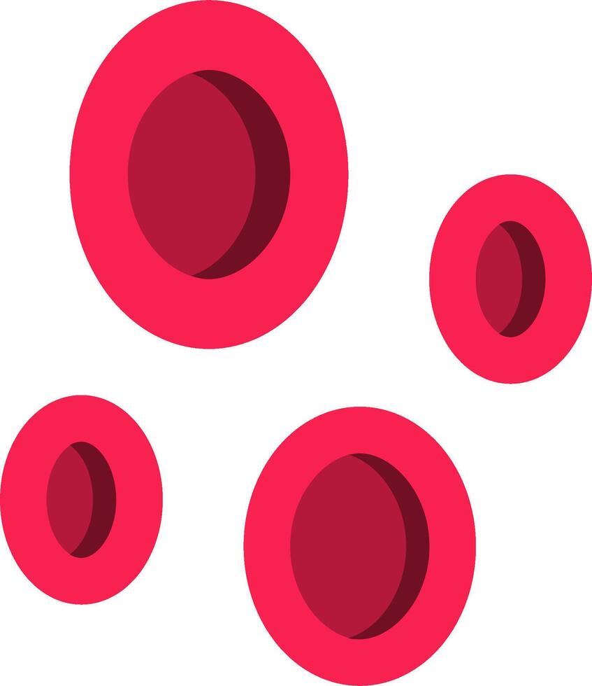 Red blood cells on white background vector