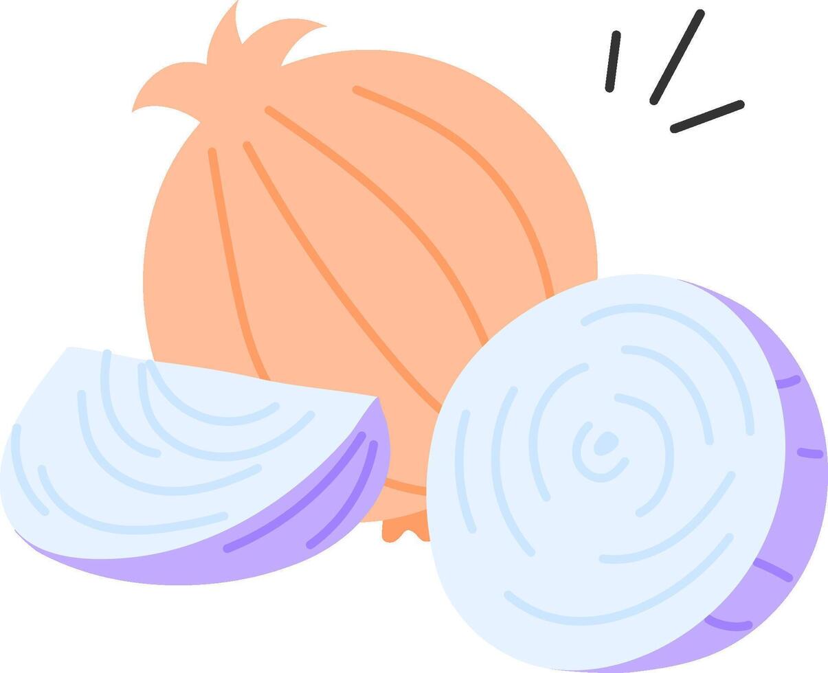 An illustration of a half onion and a whole onion vector