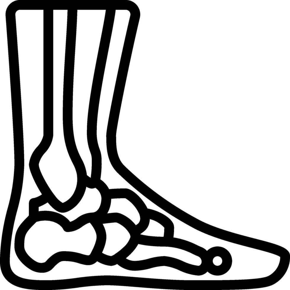 A black and white drawing of a foot with bones vector